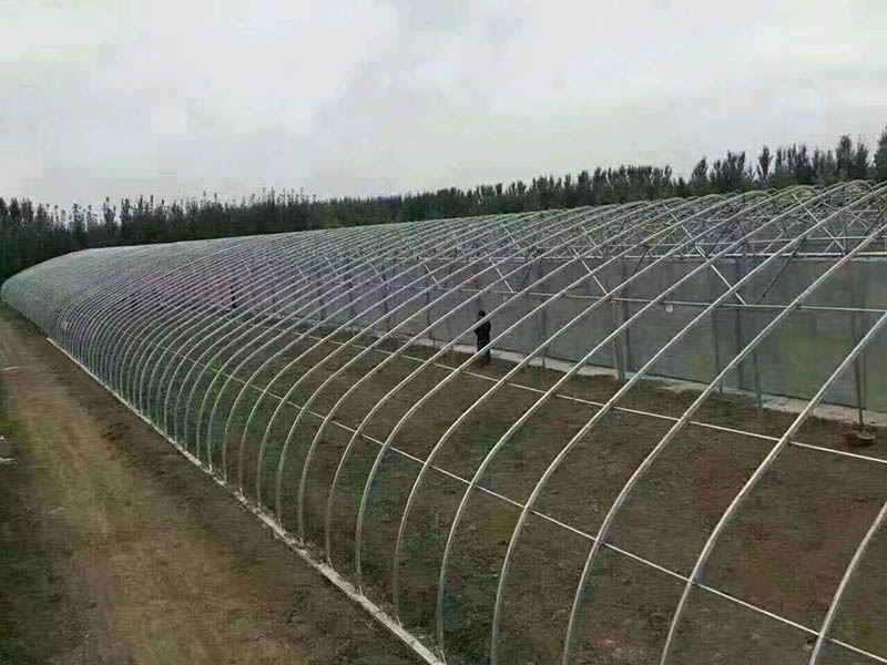 全钢架椭圆管暖棚
