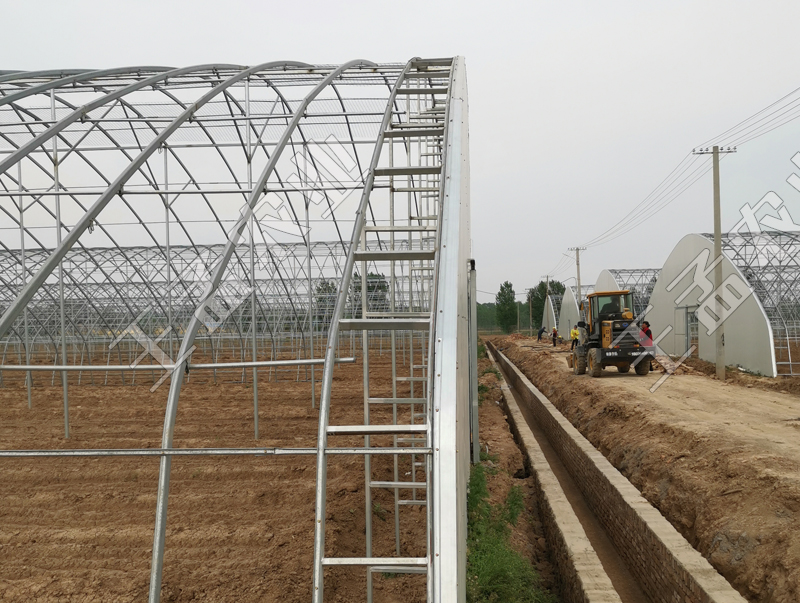 阳光温室大棚建设的技术要点