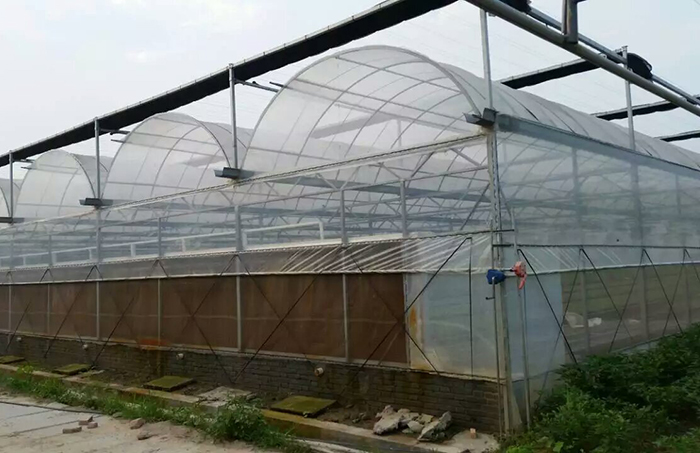 温室大棚