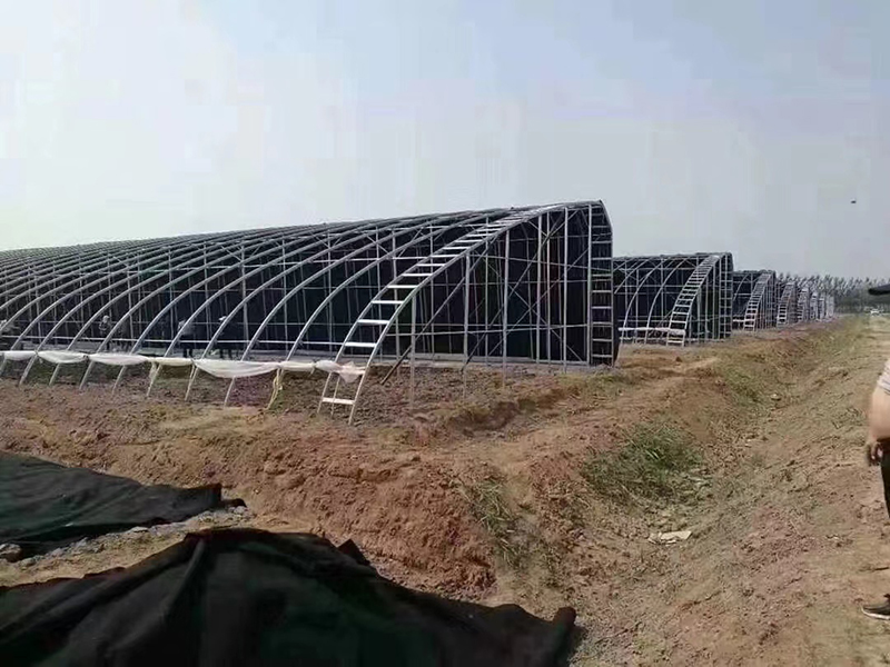 天润温室工程